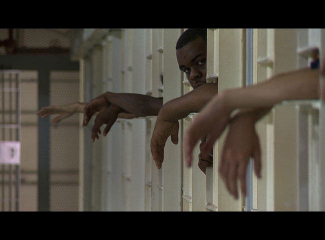 [Films des 20 ans] Projection : Natural Life